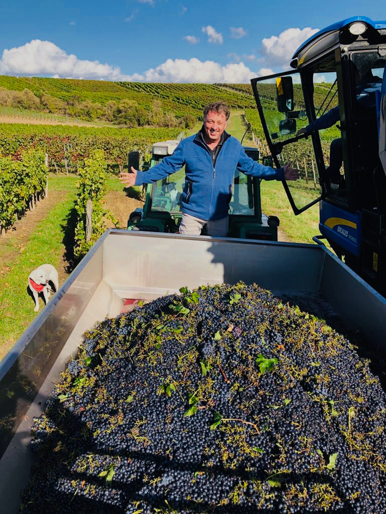 Weinjahrgang-2020_komp